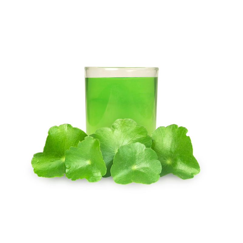 Centella Asiatica (Gotu Kola) Extract